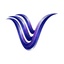 Videm logo