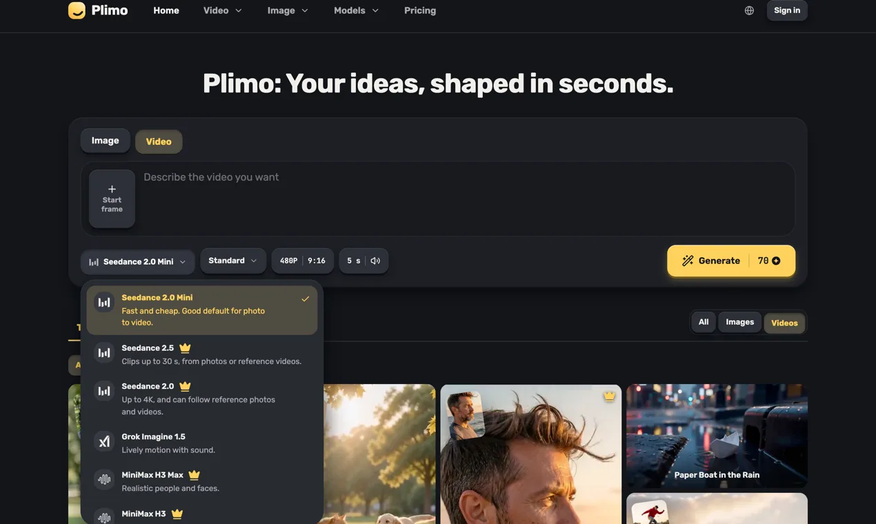 Plimo screenshot