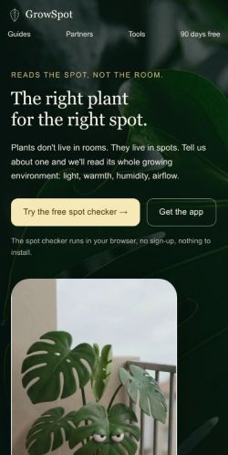 Mobile · ranked at 3000ms